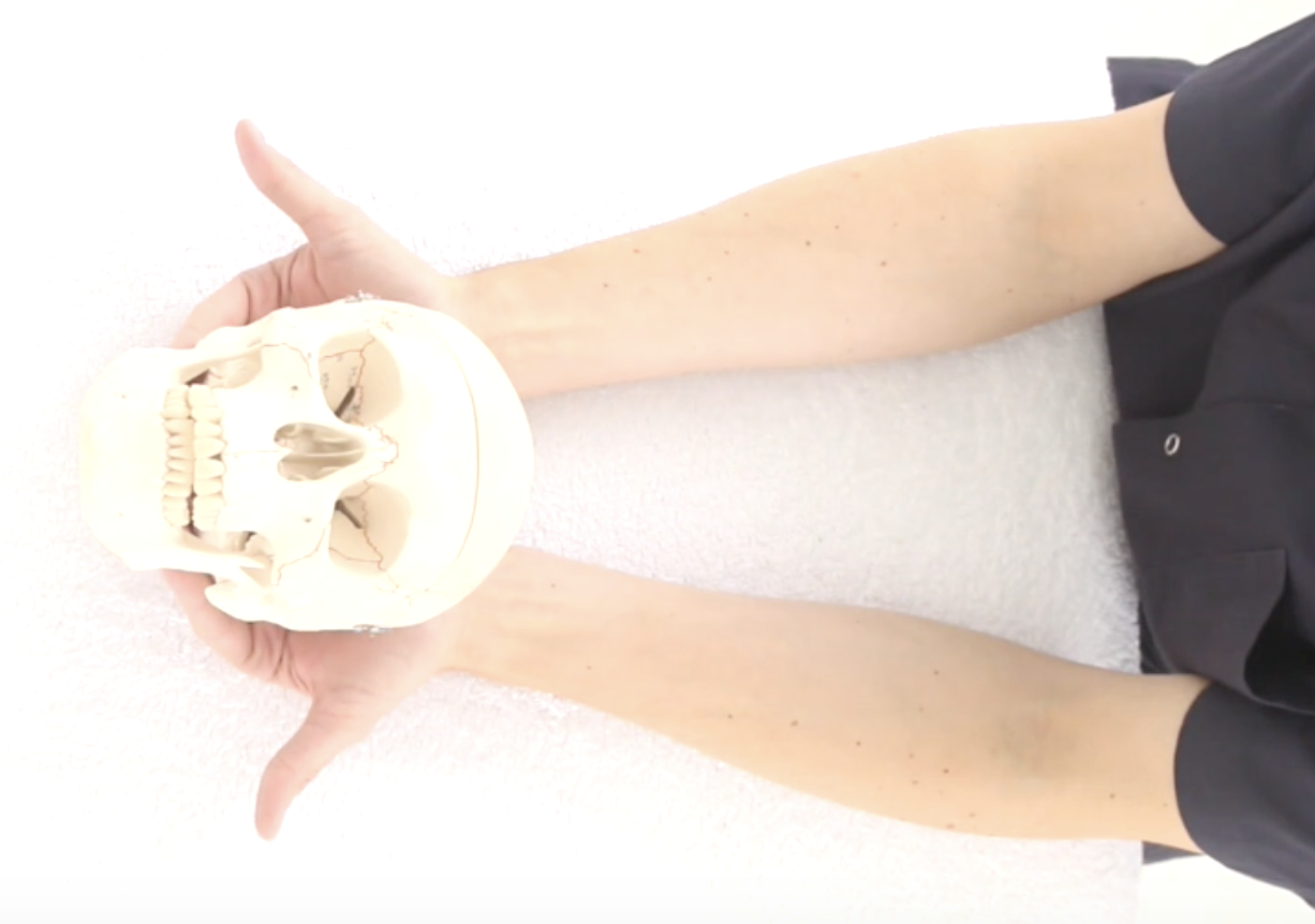 Positionnement des mains sur un modèle du crâne
